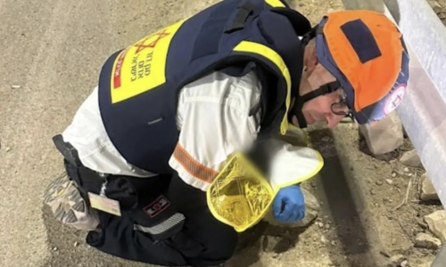 Between Sirens and Hope: An MDA Paramedic Welcomes a New Life